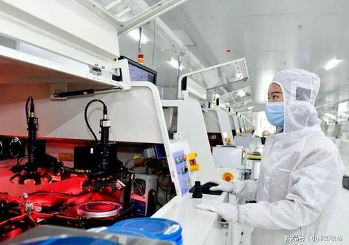 荷兰光刻机巨头急了 封锁中国只会先饿死西方企业
